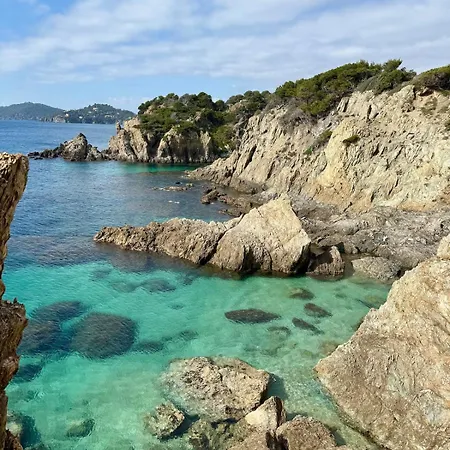 Alba, Sejour En Bord De * Hyères