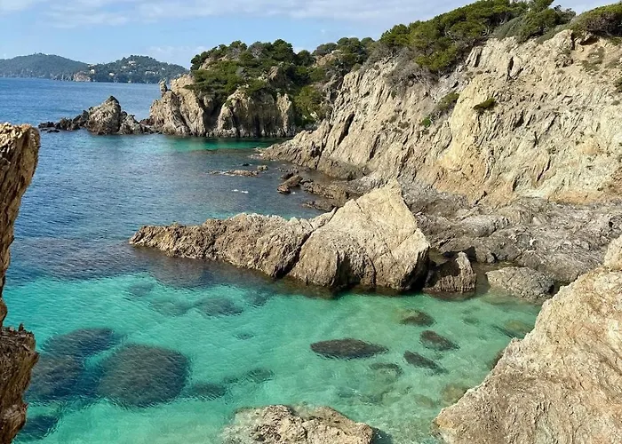 Alba, Sejour En Bord De * Hyeres