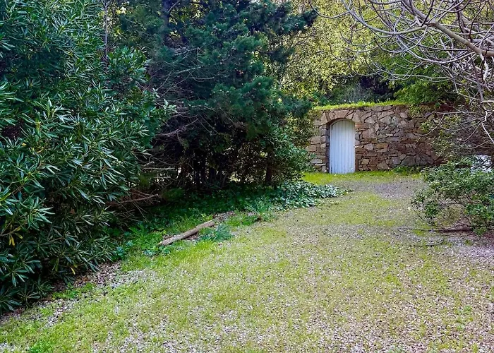 Alba, Sejour En Bord De * Hyeres